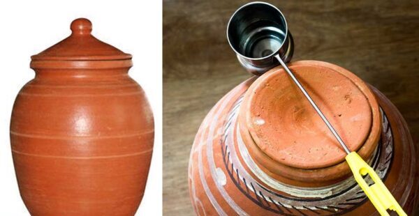 wellhealthorganic.com:some-amazing-health-benefits-of-drinking-water-from-an-earthen-pot