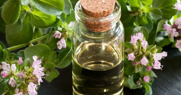 wellhealthorganic.com:health-benefits-and-side-effects-of-oil-of-oregano