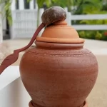 The Incredible Health Benefits of Using an Earthen Pot for Your Well-being