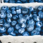 10 Best Ways to Use Blueberries for Optimal Health and Delightful Meals